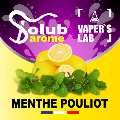 Фото, Відеоогляди на Ароматизатори для сольового нікотину Solub Arome "Menthe pouliot" (Лимон та м'ята) 