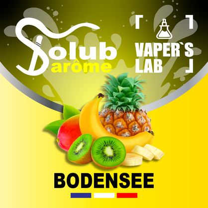 Фото, Відеоогляди на Ароматизатор для самозамісу Solub Arome "Bodensee" (Цитрусові та екзотичні фрукти) 