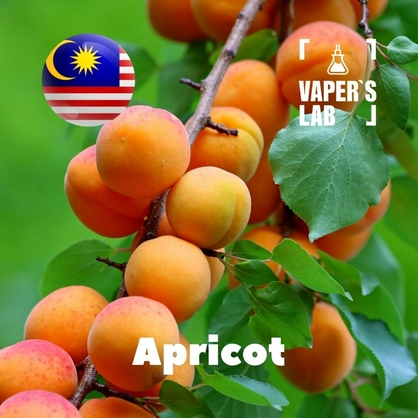 Фото на Ароматизаторы для вейпа Malaysia flavors Apricot