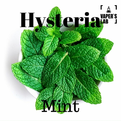 Фото, Відео на Жижи для вейпа Hysteria Mint 100 ml