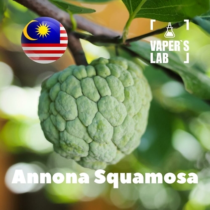 Фото на Аромки для вейпа для вейпа Malaysia flavors Annona squamosa