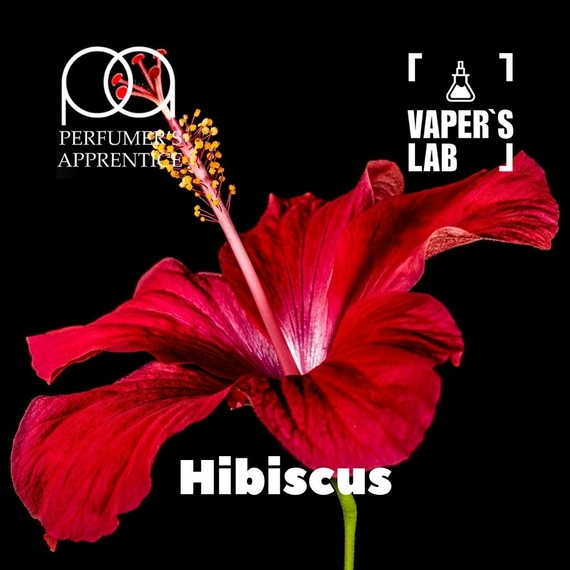 Відгуки на Ароматизатор для жижи TPA "Hibiscus" (Каркаде) 