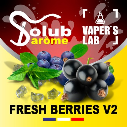 Фото, Відеоогляди на Натуральні ароматизатори для вейпа Solub Arome "Fresh Berries v2" (Чорниця смородина м'ята ментол) 