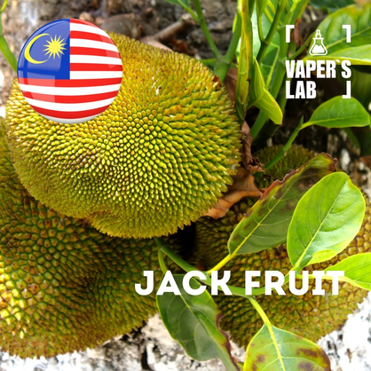 Фото, Відеоогляди на Ароматизатор Malaysia flavors Jack fruit