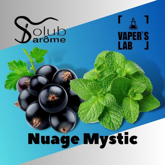 Отзывы на Аромки для вейпа Solub Arome "Nuage Mystic" (Смородина с мятой) 