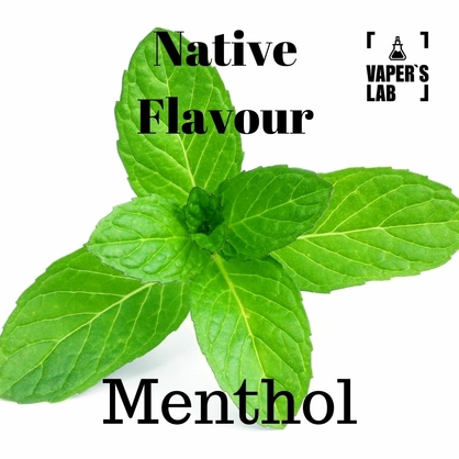 Фото жижа для вейпа купить native flavour menthol 120 ml