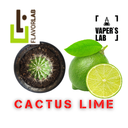 Фото, Відеоогляди на Ароматизатори Flavor Lab Cactus Lime 10 мл