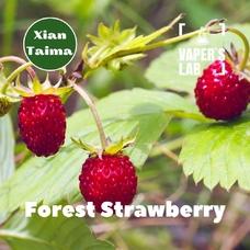 Xi'an Taima "Forest Strawberry" (Суниця)