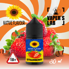 Рідини Salt для POD систем Native Flavour Strawberry 30