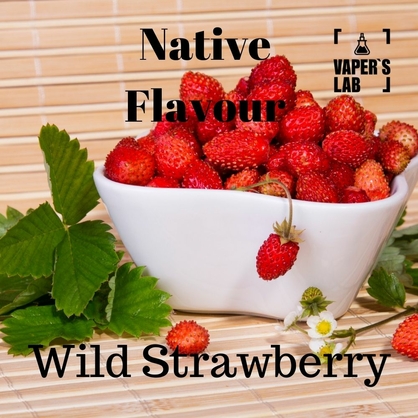 Фото заправка для вейпа дешево native flavour wild strawberry 120 ml