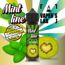 Mint Kiwi 60 ml