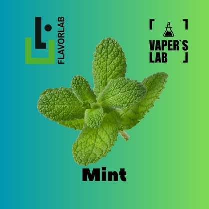 Фото, Відеоогляди на Аромки для вейпа Flavor Lab Mint 10 мл