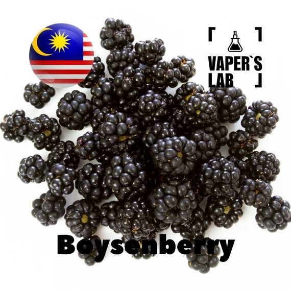 Отзывы на аромку Malaysia flavors Boysenberry