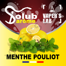 Ароматизатор для жижи Solub Arome Menthe pouliot Лимон и мята