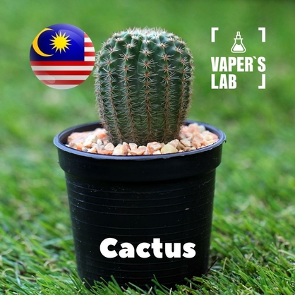 Фото на Аромку для вейпа Malaysia flavors Cactus