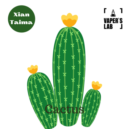 Фото, Відеоогляди на Аромки для вейпа Xi'an Taima "Cactus" (Кактус) 