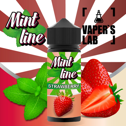 Фото жидкости для вейпа mint strawberry 120 ml