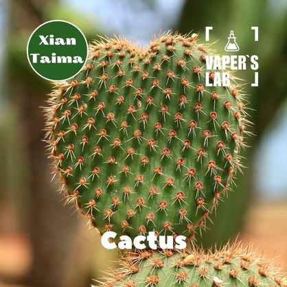 Фото, Видео, Лучшие пищевые ароматизаторы  Xi'an Taima "Cactus" (Кактус) 