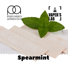 Aroma для самозамеса TPA Spearmint Мята