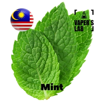 Фото, Відеоогляди на Ароматизатори Malaysia flavors Mint