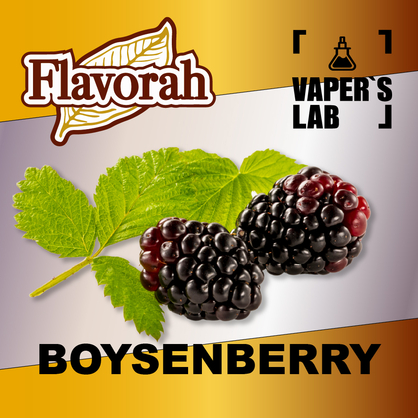 Фото на Аромку Flavorah Boysenberry Бойзенова ягода