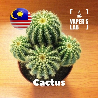 Фото, Відеоогляди на Ароматизатори Malaysia flavors Cactus