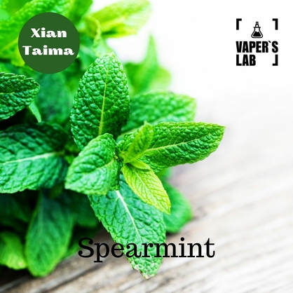 Фото, Відеоогляди на Основи та аромки Xi'an Taima "Spearmint" (М'ятна жуйка) 