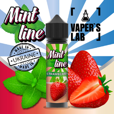 Жидкости для вейпа Mint Strawberry 60