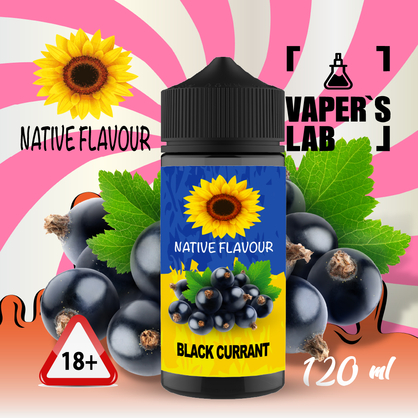 Фото жижа для электронных сигарет native flavour black currant 120 ml