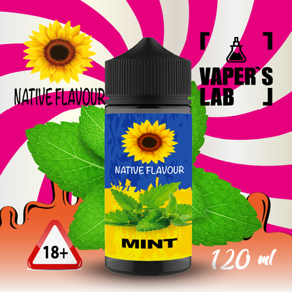 Фото жидкость для электронных сигарет с никотином native flavour mint 120ml