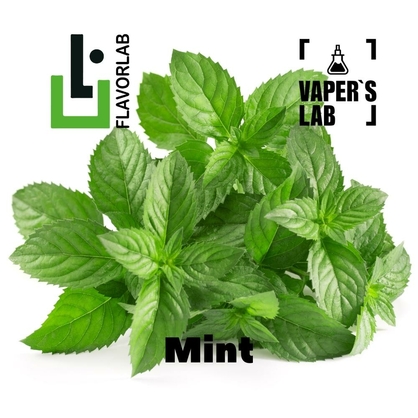 Фото, Відеоогляди на Аромки для вейпа Flavor Lab Mint 10 мл