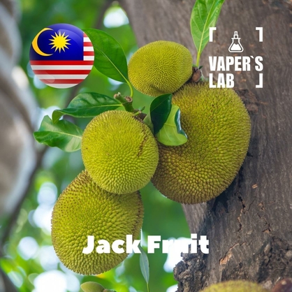 Фото, Відеоогляди на Ароматизатор Malaysia flavors Jack fruit