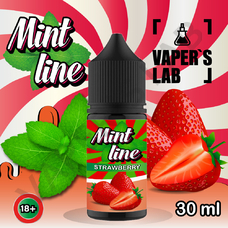 Жидкость для под систем Mint Strawberry 30ml