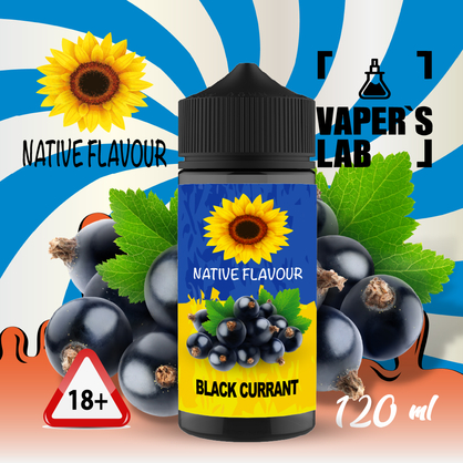 Фото жижа для электронных сигарет native flavour black currant 120 ml