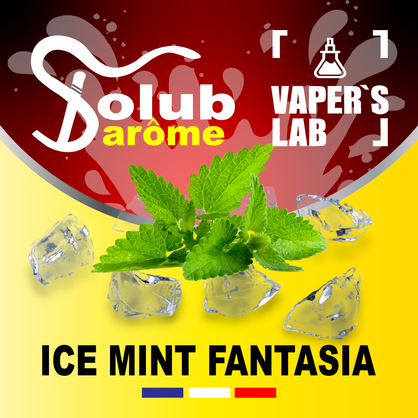 Фото, Відеоогляди на Арома для самозамісу Solub Arome "Ice mint fantasia" (М'ята ментол та кулер) 