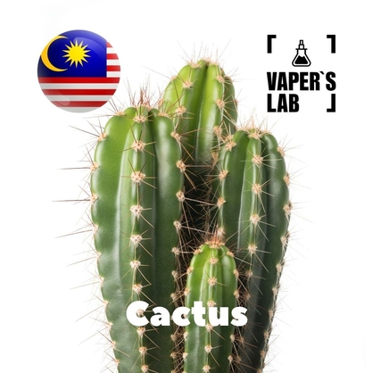 Фото, Відеоогляди на Ароматизатори Malaysia flavors Cactus